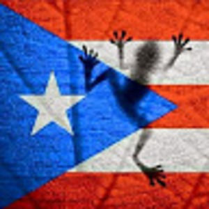 Meet your Posher, Onie